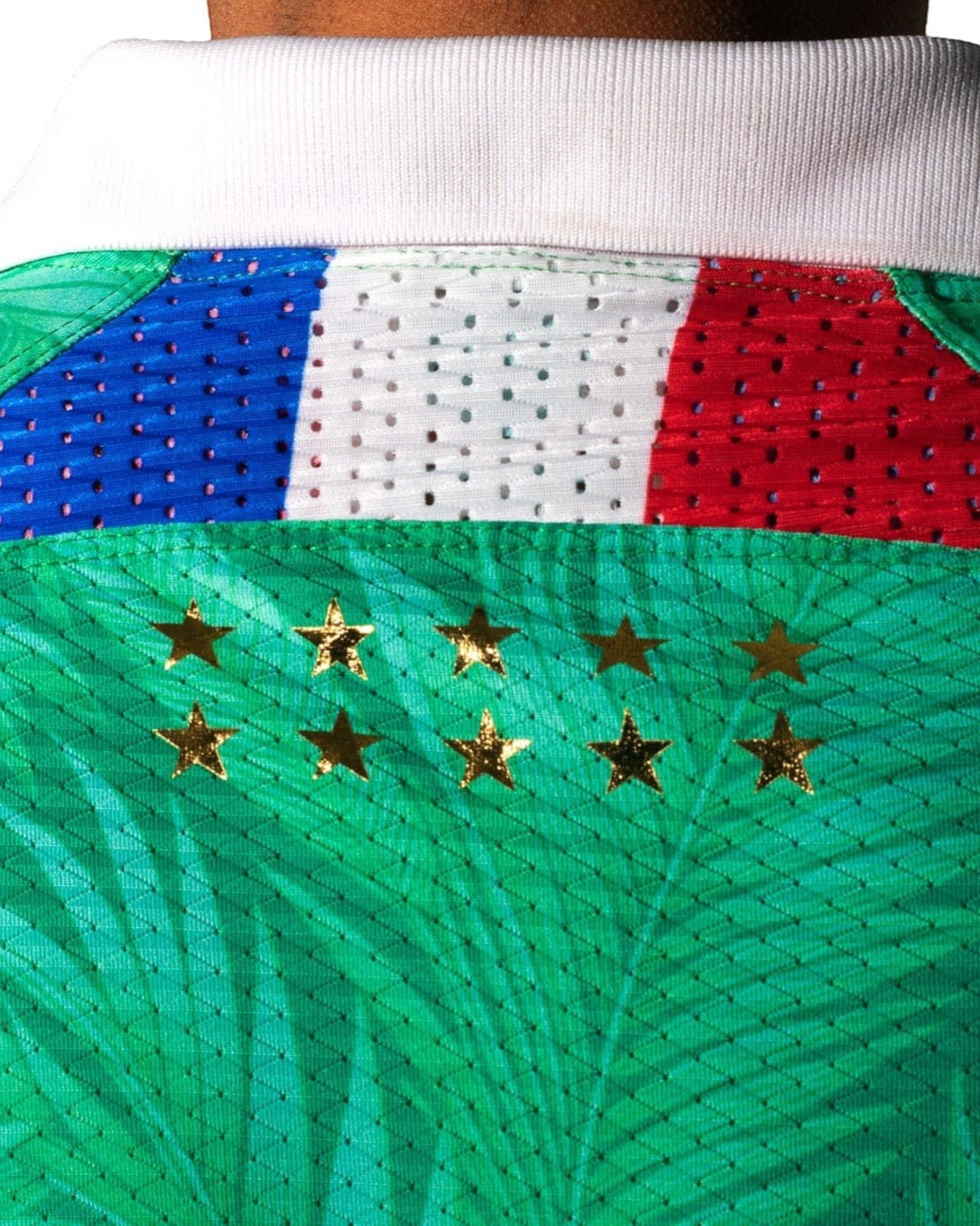 Rosas Torres Jersey Jersey Les Verts - Edición Verde Francés | Tradición Europea Premium